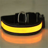 Fluorescent dog collar